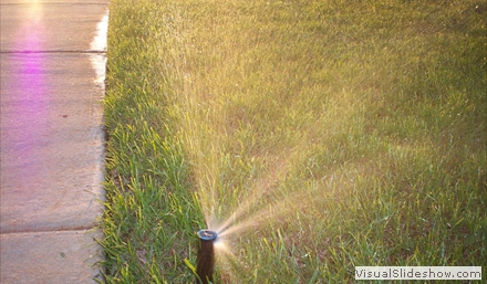 sprinklers