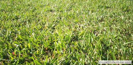 100_0943 100_0943