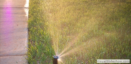 sprinklers sprinklers