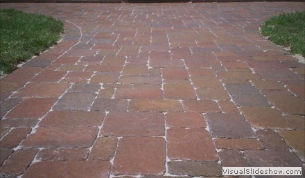 100_0544 100_0544