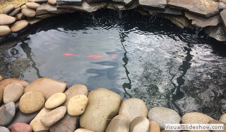 MJR 2015 455 MJR 2015 455