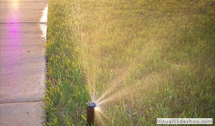 sprinklers sprinklers